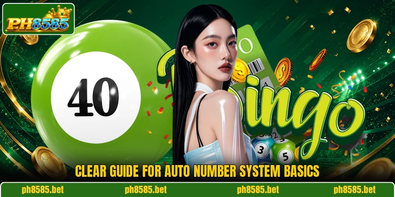 Clear guide for Auto Number System basics